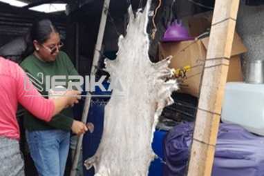 SIA IMPULSA TALLER PARA DAR VALOR AGREGADO EN SUBPRODUCTOS DE LA CADENA OVINA