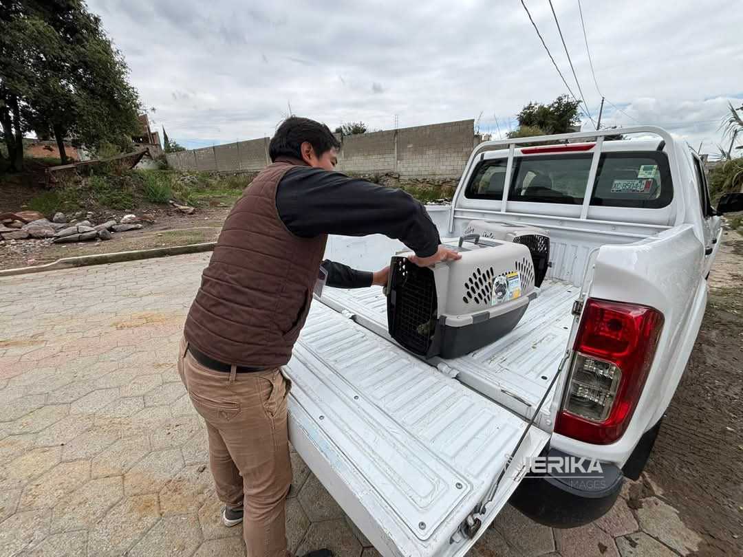 PROPAET RESCATA A CANINA EN SITUACIÓN CRÍTICA, TRAS DENUNCIA CIUDADANA