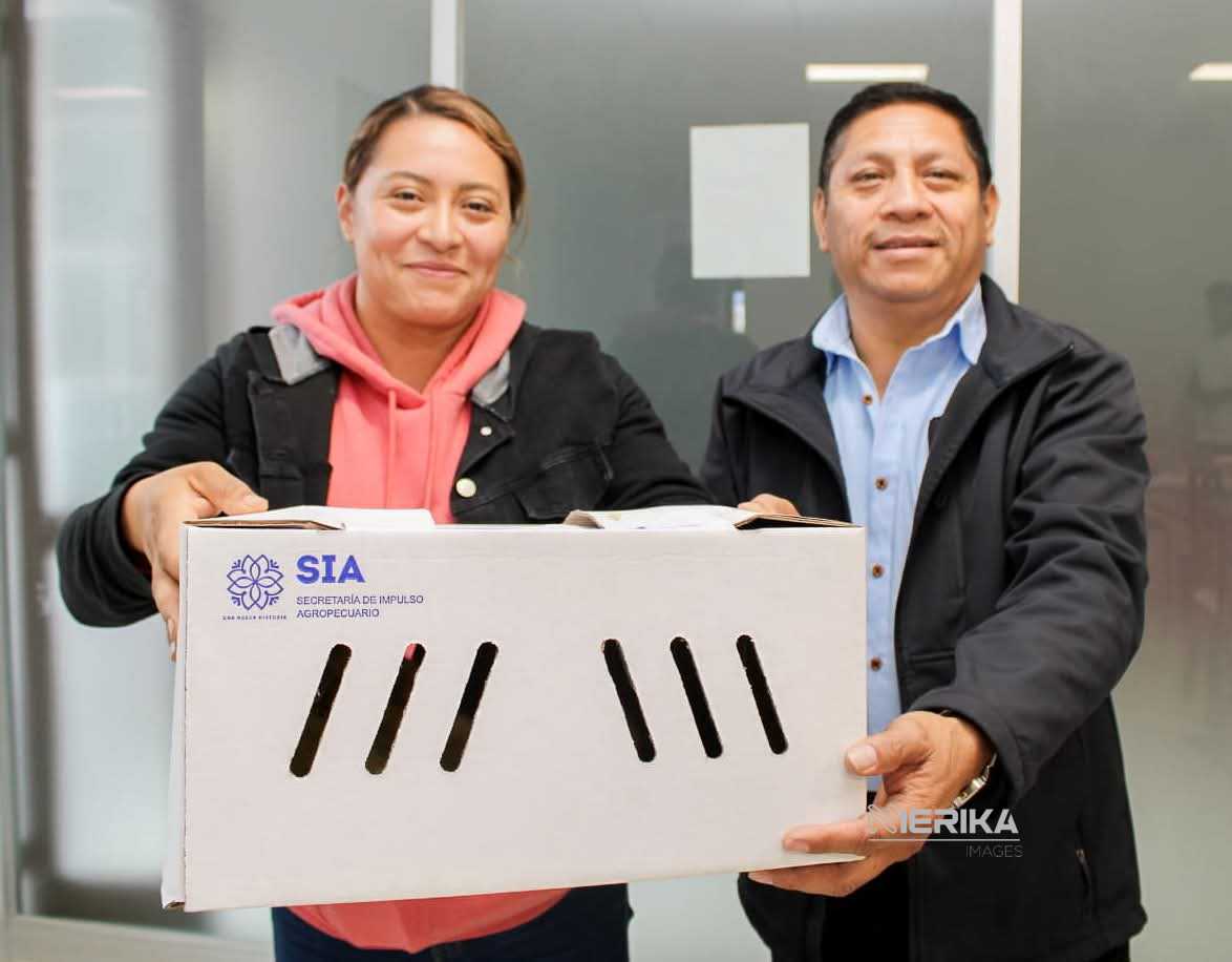 Entrega de aves de traspatio a familias del municipio de Chiautempan.