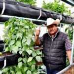 IMPULSAN BIENESTAR RURAL CON PROGRAMAS DE ASISTENCIA TÉCNICA Y CAPACITACIÓN PARA PRODUCTORES VULNERABLES