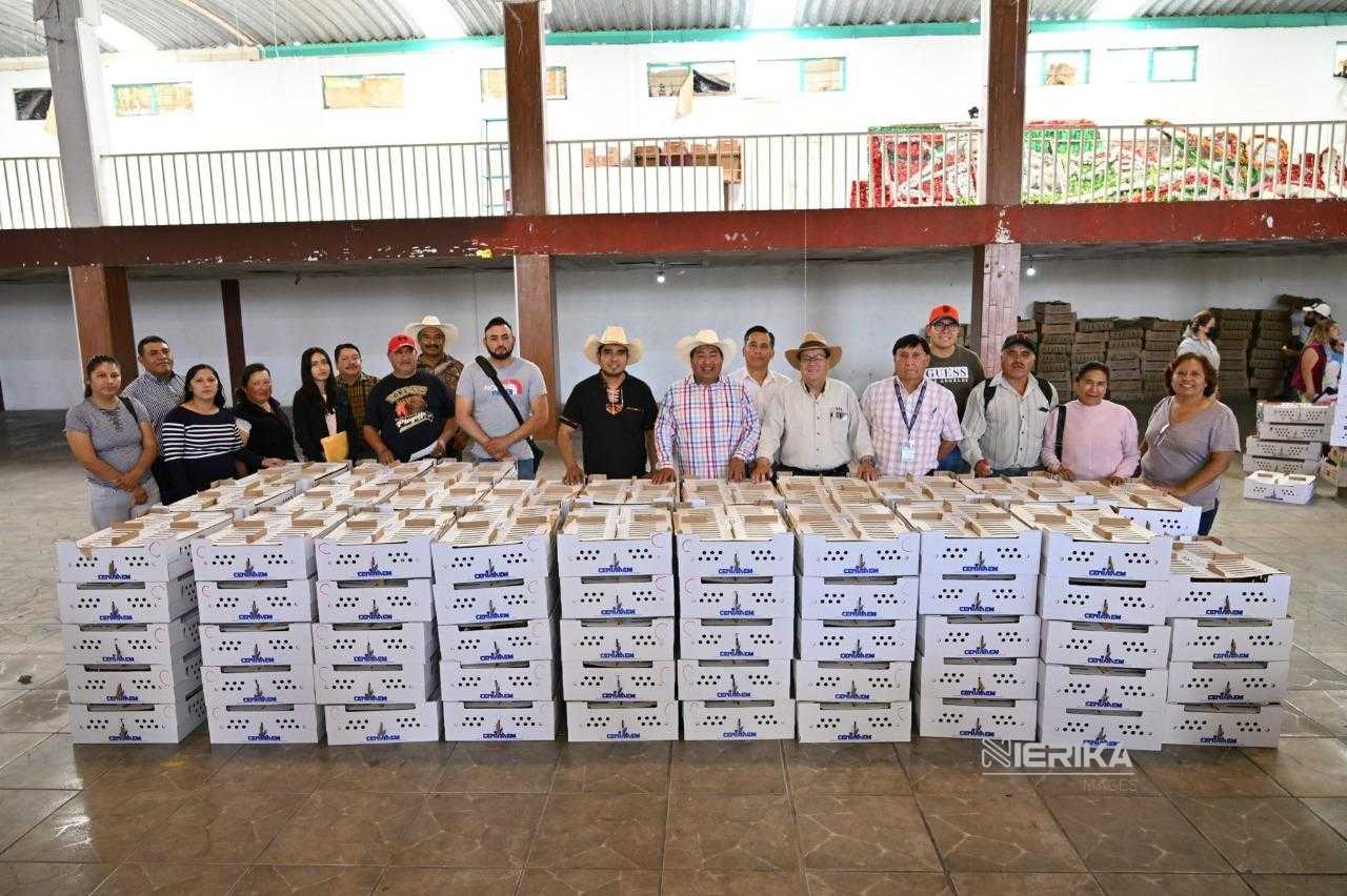 INICIA SIA ENTREGA DE PAQUETES DE ESPECIES MENORES A PRODUCTORES