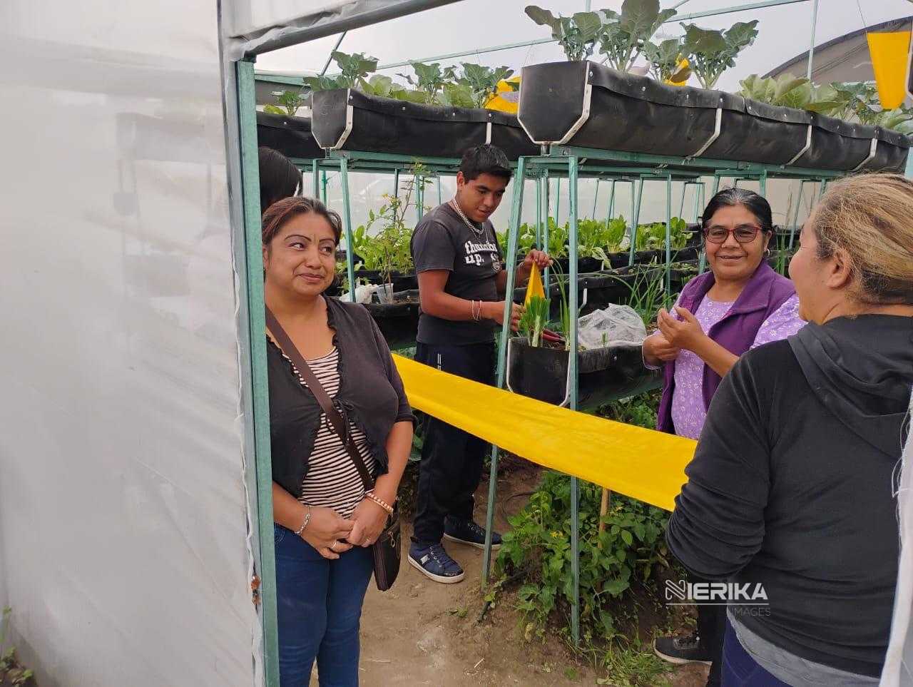 FORTALECEN AUTONOMÍA DE FAMILIAS RURALES CON CAPACITACIÓN ESPECIALIZADA EN CONTROL DE PLAGAS