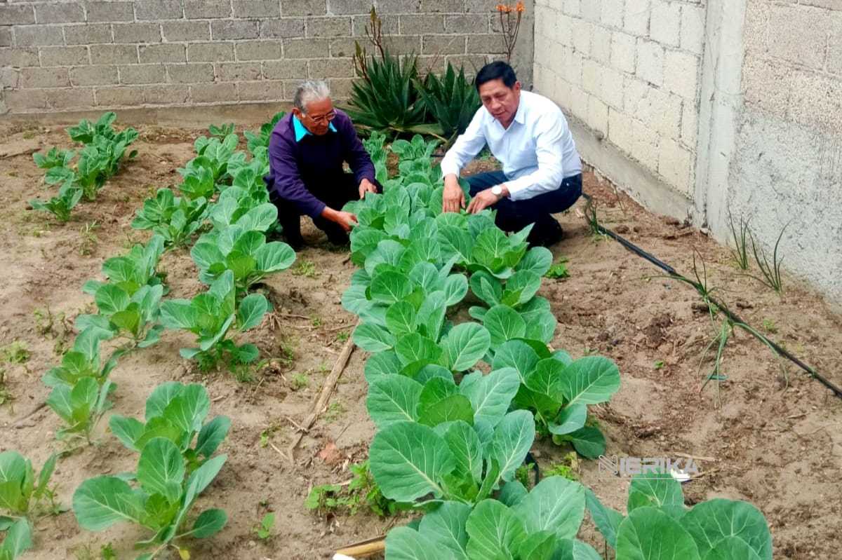 Con apoyo del Gobierno Municipal, familias chiautempenses desarrollan sus propios huertos