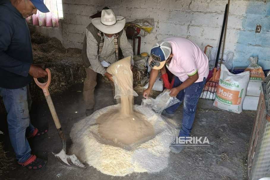 SECRETARÍA DE IMPULSO AGROPECUARIO ACERCA A MUNICIPIOS TALLERES PARA MEJORAR LA ALIMENTACIÓN DEL GANADO