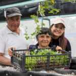 SECRETARÍA DE BIENESTAR IMPULSA SEGURIDAD ALIMENTARIA CON CULTIVO DE HORTALIZAS PARA 275 FAMILIAS