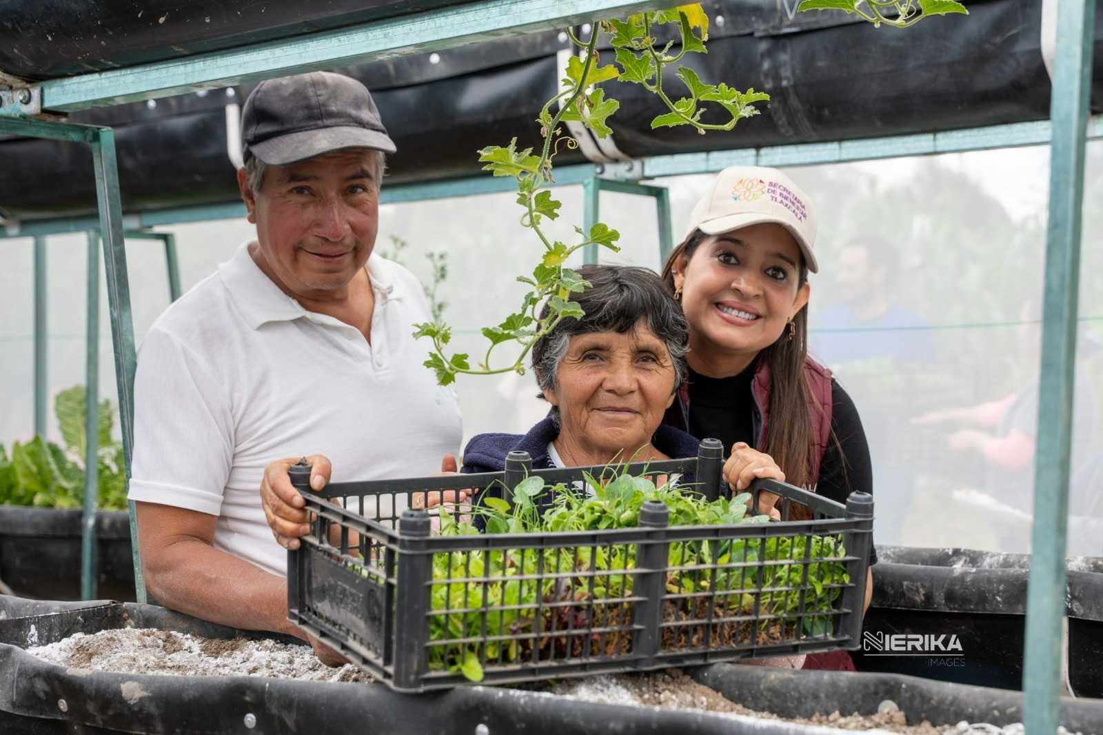 SECRETARÍA DE BIENESTAR IMPULSA SEGURIDAD ALIMENTARIA CON CULTIVO DE HORTALIZAS PARA 275 FAMILIAS
