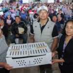 Gobierno de Blanca Angulo entrega más de 3700 aves de traspatio a familias chiautempenses