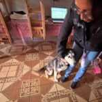 PROPAET Y BIENESTAR ANIMAL RESCATAN A EJEMPLAR EN ESTADO DE MALTRATO EN ATLAHAPA