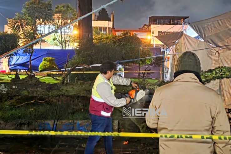 Protección Civil de Chiautempan atiende reporte de árbol caído por fuerte lluvia en Parque Hidalgo