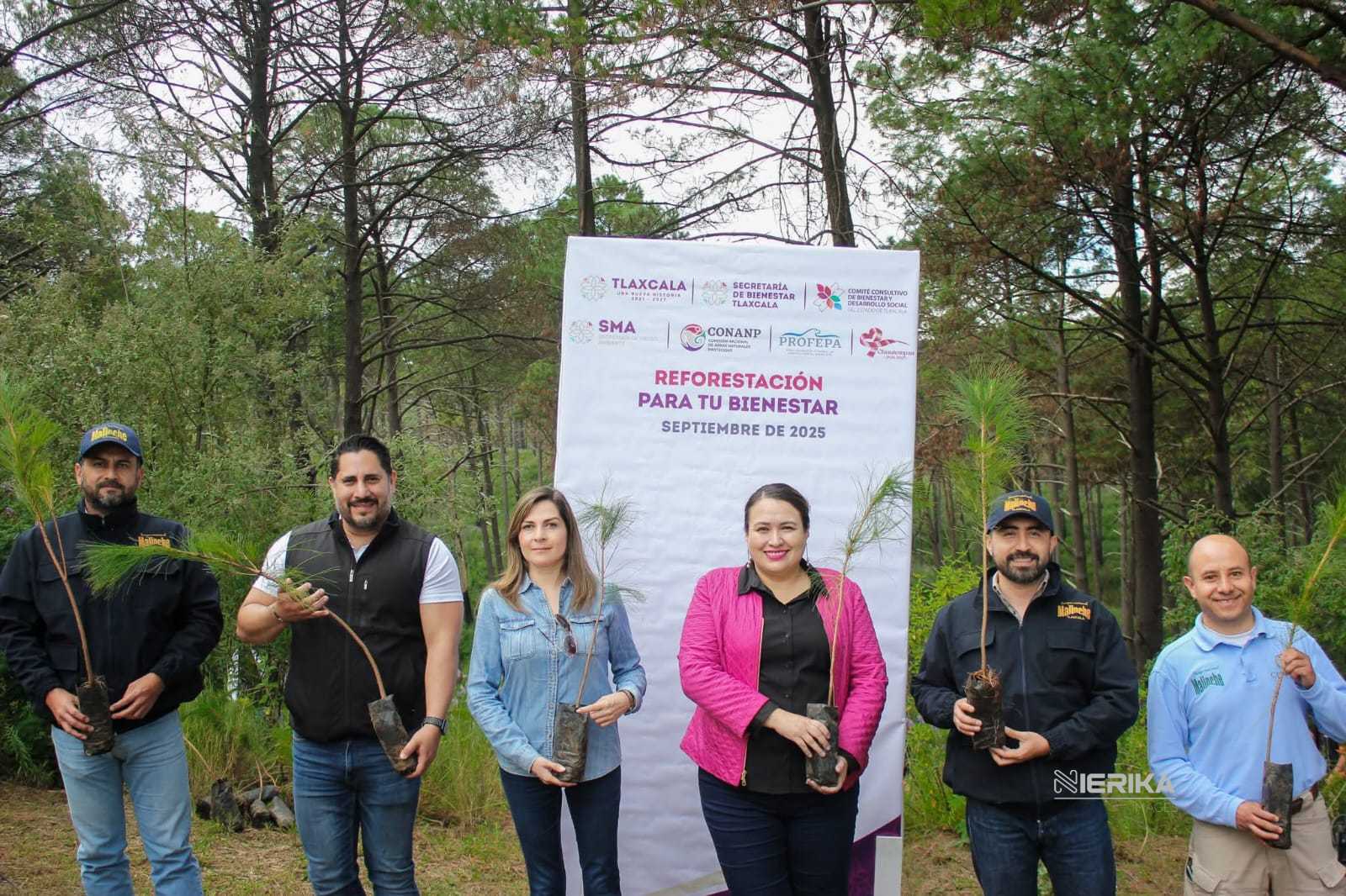 Reforestan en Chiautempan zona incendiada de la Malinche