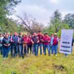 En jornada de reforestación en Chiautempan, son plantados más de 400 árboles de piñón
