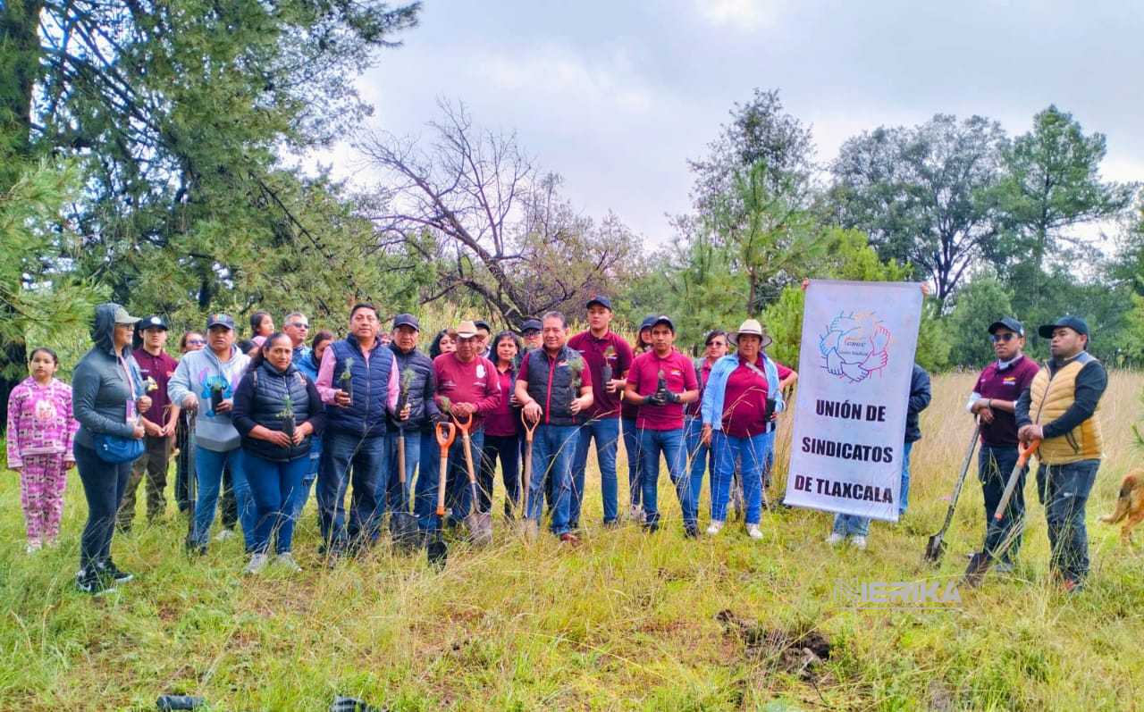 En jornada de reforestación en Chiautempan, son plantados más de 400 árboles de piñón