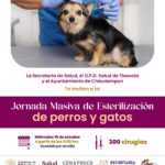 Chiautempan será sede de Jornada Nacional de Esterilización para Perros y Gatos