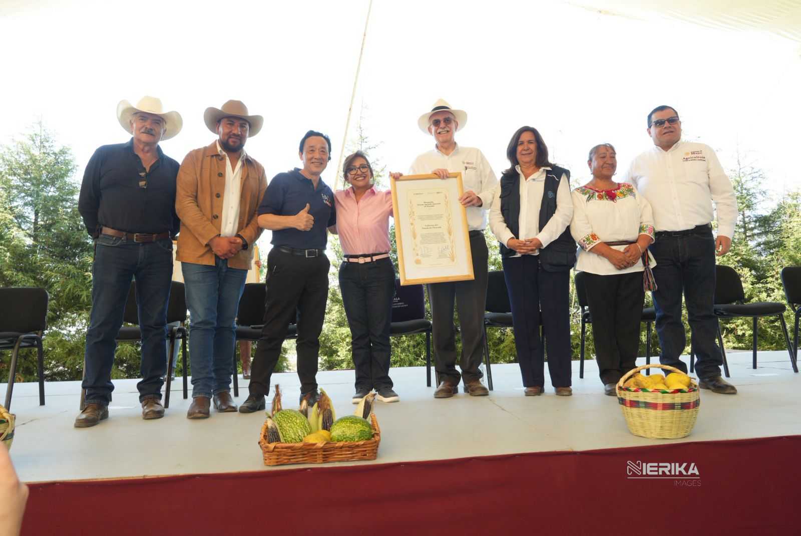 AGRICULTURA Y FAO RECONOCEN AL SISTEMA AGRÍCOLA METEPANTLE DE TLAXCALA COMO PATRIMONIO AGRÍCOLA MUNDIAL