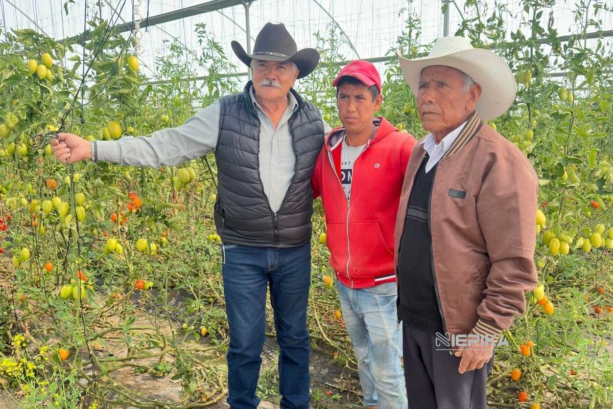 EN EMILIANO ZAPATA Y LÁZARO CÁRDENAS, INFORMAN A PRODUCTORES SOBRE EL SUBSIDIO AL MAÍZ BLANCO