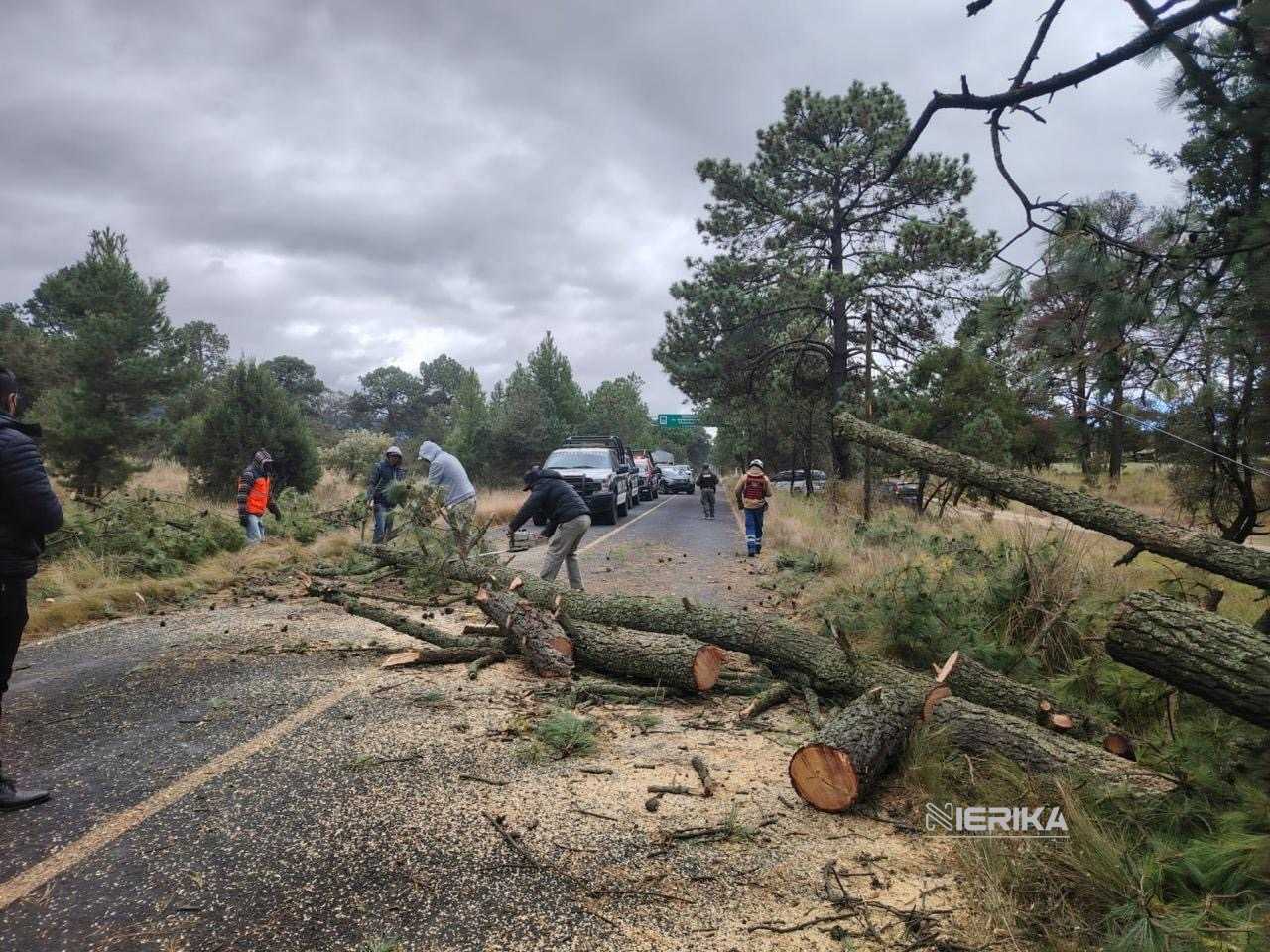 ATIENDE PROTECCIÓN CIVIL ESTATAL INCIDENTES, Y EMITE RECOMENDACIONES ANTE FUERTES VIENTOS EN TLAXCALA