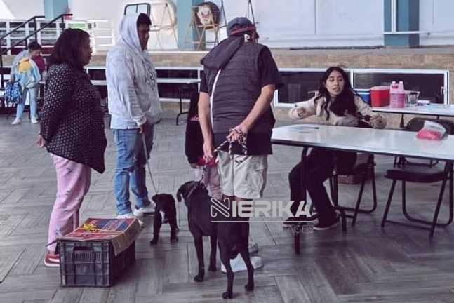 TLAXCALA FORTALECE EL BIENESTAR ANIMAL CON ATENCIÓN A MÁS DE 4 MIL 700 MASCOTAS