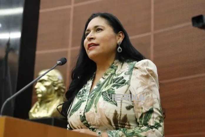 Satisfacción por balance positivo durante el último año en el Senado, expresa Ana Lilia Rivera