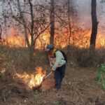 REFUERZA TLAXCALA PREVENCIÓN DE INCENDIOS FORESTALES PARA PROTEGER COMUNIDADES Y ECOSISTEMAS