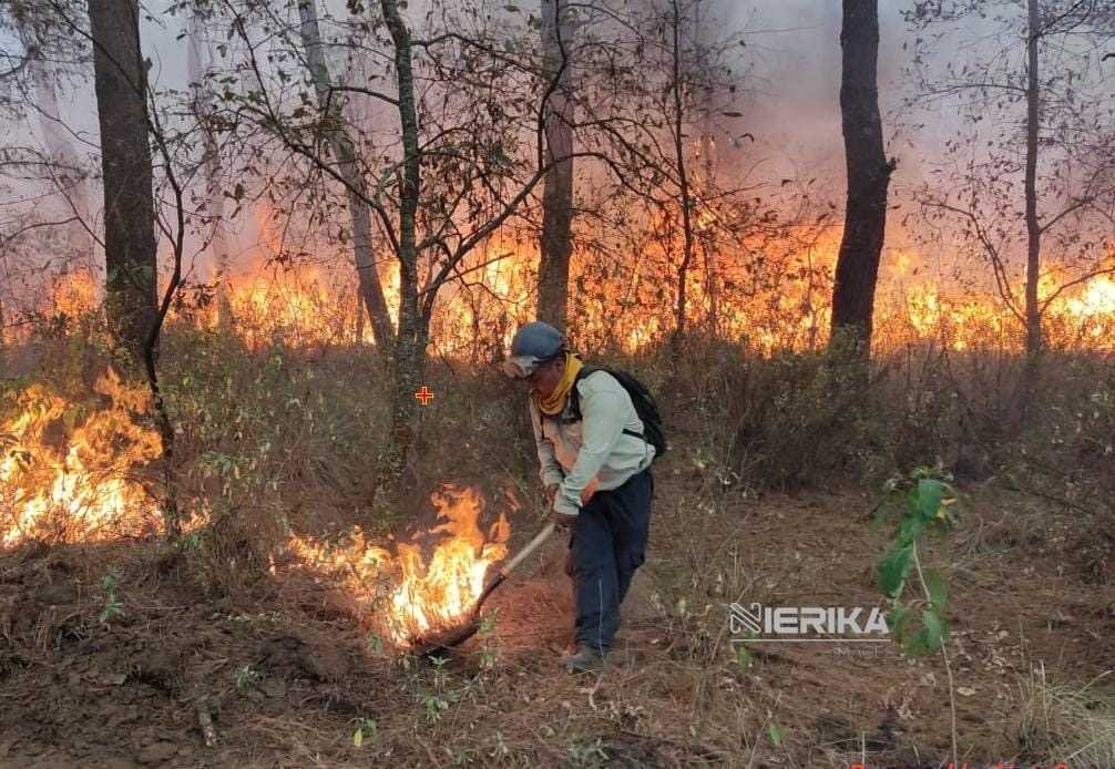 REFUERZA TLAXCALA PREVENCIÓN DE INCENDIOS FORESTALES PARA PROTEGER COMUNIDADES Y ECOSISTEMAS