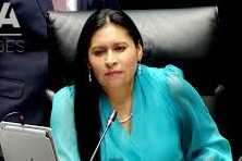 Reconoce Ana Lilia Rivera avance en el diálogo entre México y Estados Unidos