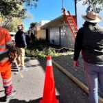 MEJORA LA SEGURIDAD AYUNTAMIENTO DE TLAXCALA EN BULEVAR MARIANO SÁNCHEZ CON TRABAJOS DE MANTENIMIENTO