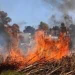 ATIENDEN PROTECCIÓN CIVIL, POLICÍA MUNICIPAL DE TLAXCALA Y BOMBEROS INCENDIO DE PASTIZALES EN SAN SEBASTIÁN ATLAHAPA