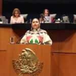 Honor y gloria a quienes dieron la vida en la lucha por la seguridad y La Paz nacional: Ana Lilia Rivera