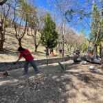 PODA Y LIMPIA AYUNTAMIENTO DE TLAXCALA AV PUEBLA PARA RECIBIR MEJOR AL TURISMO