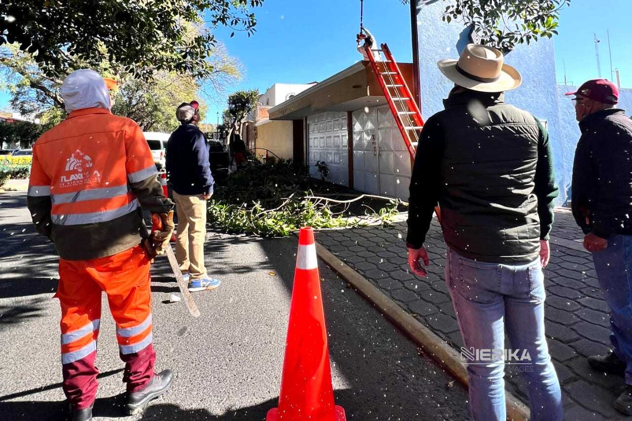 MEJORA LA SEGURIDAD AYUNTAMIENTO DE TLAXCALA EN BULEVAR MARIANO SÁNCHEZ CON TRABAJOS DE MANTENIMIENTO