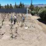 SECRETARÍA DE IMPULSO AGROPECUARIO EVALÚA POSIBLES DAÑOS EN HUERTAS DE DURAZNO EN ATLTZAYANCA