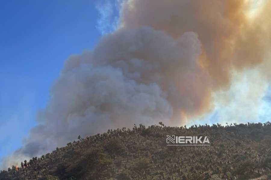 GOBIERNO DEL ESTADO SE MANTIENE ALERTA ANTE INCENDIO EN PUEBLA