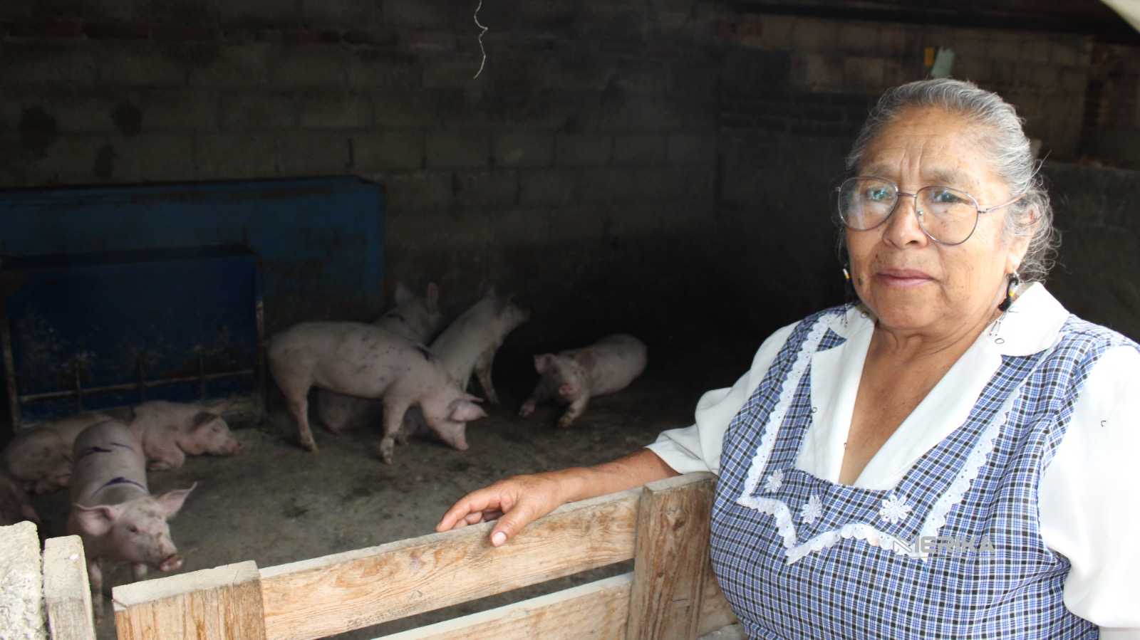 FOMTLAX PROYECTA COLOCAR MÁS DE MIL CRÉDITOS EN 2026; 70% SERÁ PARA MUJERES EMPRENDEDORAS