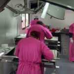 AMPLÍA AYUNTAMIENTO DE TLAXCALA JORNADA DE BIENESTAR ANIMAL Y LLEGARÁ EL 18 DE MARZO A SAN LUCAS CUAUHTELULPAN