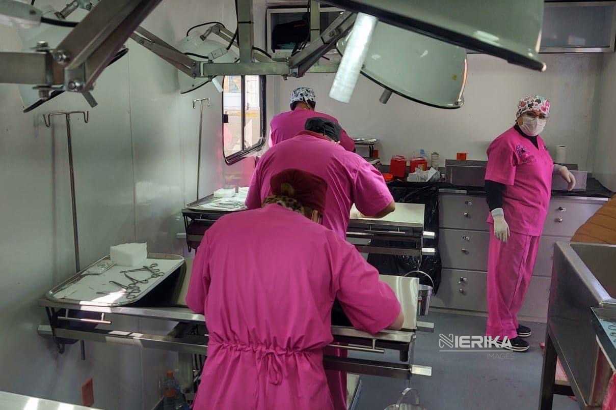 AMPLÍA AYUNTAMIENTO DE TLAXCALA JORNADA DE BIENESTAR ANIMAL Y LLEGARÁ EL 18 DE MARZO A SAN LUCAS CUAUHTELULPAN