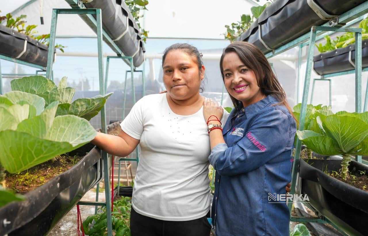 COMITÉ CONSULTIVO DE BIENESTAR SUMA ESFUERZOS CON DEPENDENCIAS PARA ATENDER A FAMILIAS DE TLAXCALA