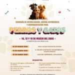 AYUNTAMIENTO DE TLAXCALA REALIZARÁ NUEVA ETAPA DE ESTERILIZACIÓN, VACUNACIÓN Y DESPARACITACIÓN CANINA Y FELINA