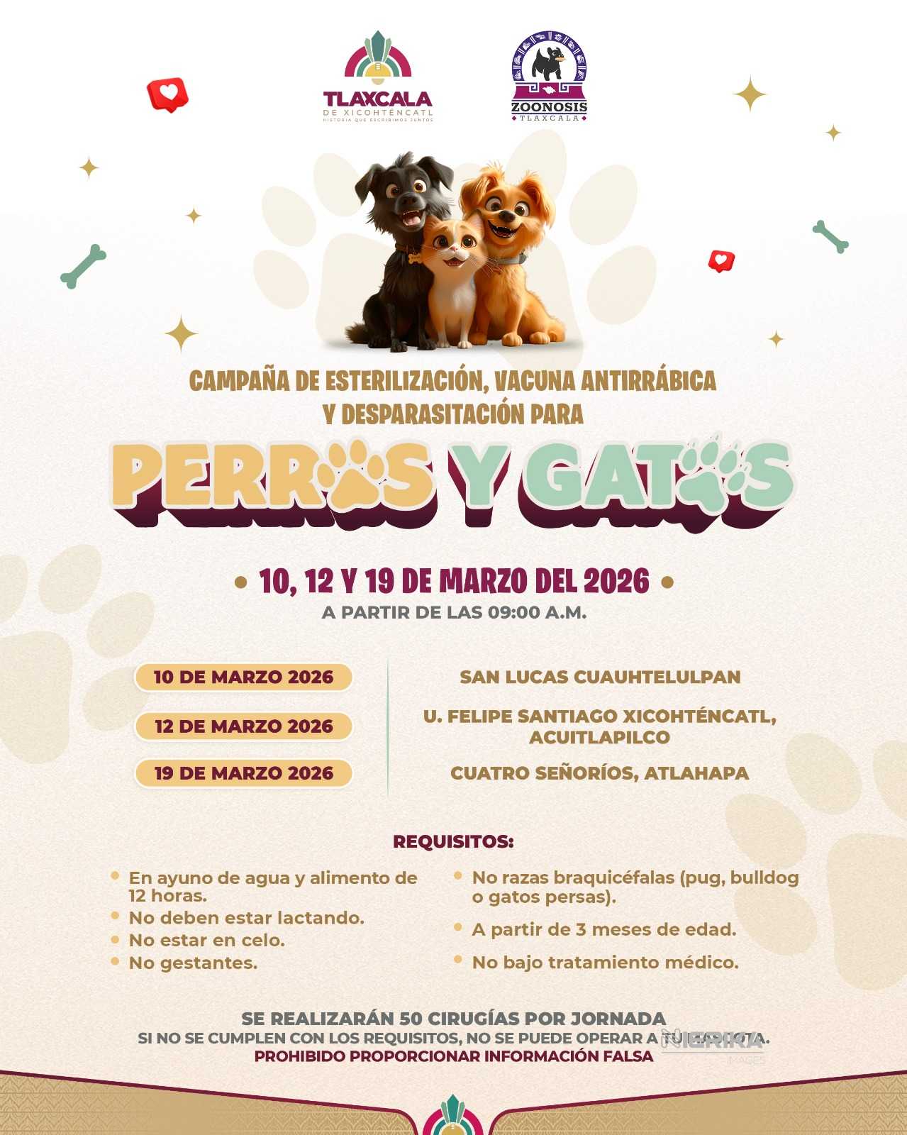 AYUNTAMIENTO DE TLAXCALA REALIZARÁ NUEVA ETAPA DE ESTERILIZACIÓN, VACUNACIÓN Y DESPARACITACIÓN CANINA Y FELINA