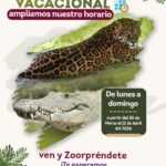 ZOOLÓGICO DEL ALTIPLANO AMPLÍA HORARIO EN VACACIONES; ABRE TODOS LOS DÍAS PARA RECIBIR A FAMILIAS Y VISITANTES