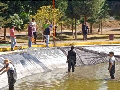 UNIVERSIDAD POLITÉCNICA FORTALECE INNOVACIÓN ACUÍCOLA CON PROYECTO DE TILAPIA