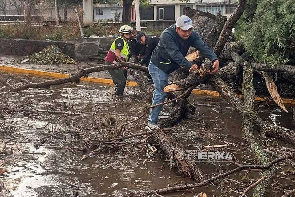 BRIGADAS DE «MÁS TERRITORIO Y MENOS ESCRITORIO» RESPONDEN ANTE NUEVA PRECIPITACIÓN PLUVIAL Y REPORTAN MÍNIMAS AFECTACIONES EN LA CAPITAL