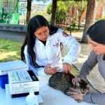 AYUNTAMIENTO DE TLAXCALA DARÁ CONTINUIDAD A CAMPAÑA ANTIRRÁBICA PARA MASCOTAS QUE NO FUERON VACUNADAS EN MARZO