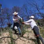 Gobierno Estatal ha invertido 9.9 mdp para recuperar Atltzayanca tras incendio de 2025.