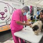 GOBIERNO DE ALFONSO SÁNCHEZ GARCÍA CONTINUARÁ CAMPAÑA DE ESTERILIZACIÓN CANINA Y FELINA EL 22 DE MAYO