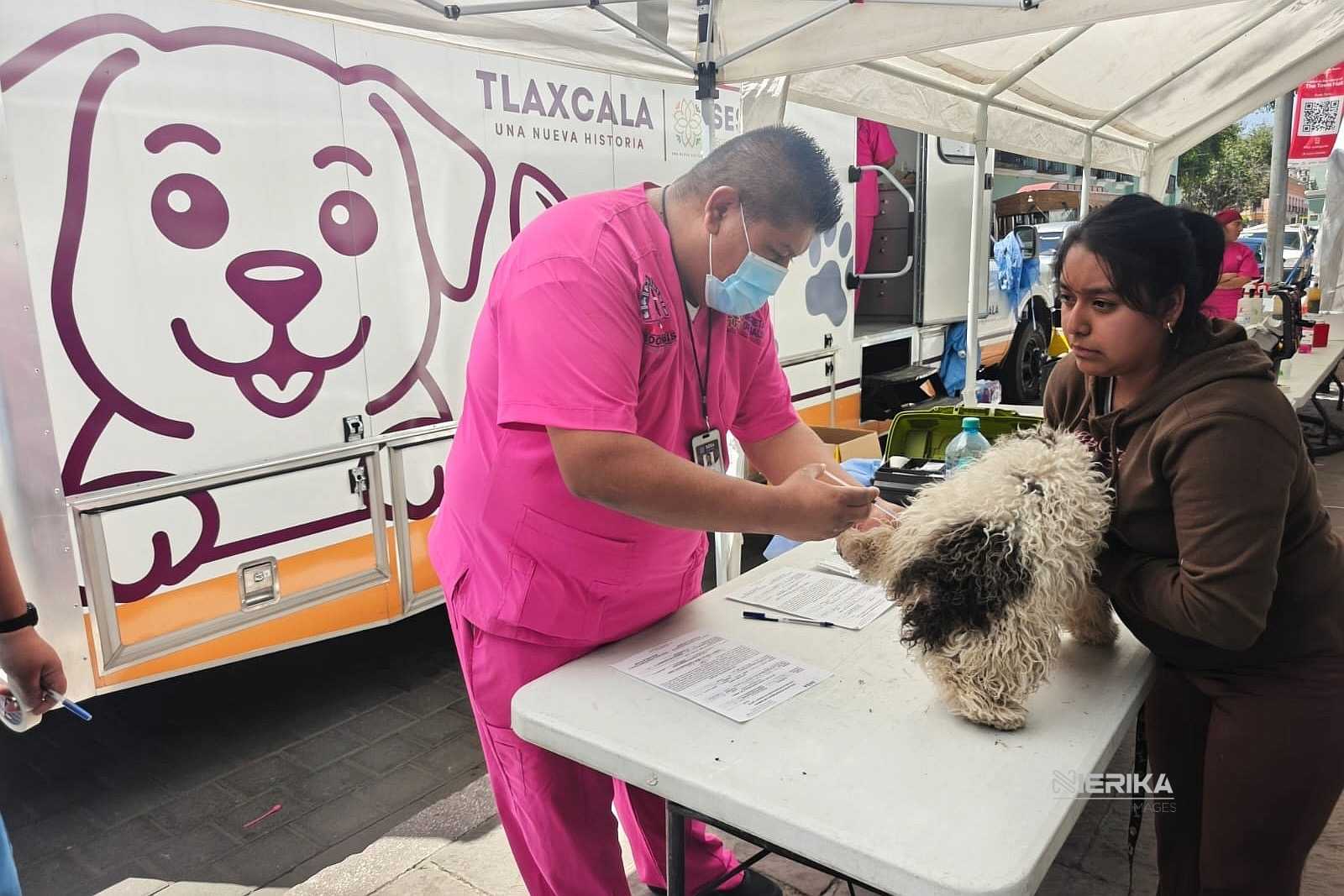 GOBIERNO DE ALFONSO SÁNCHEZ GARCÍA CONTINUARÁ CAMPAÑA DE ESTERILIZACIÓN CANINA Y FELINA EL 22 DE MAYO