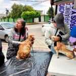 GOBIERNO DE ALFONSO SÁNCHEZ GARCÍA FORTALECE EL BIENESTAR ANIMAL CON JORNADA DE ATENCIÓN A MASCOTAS EN LA LOMA XICOHTÉNCATL