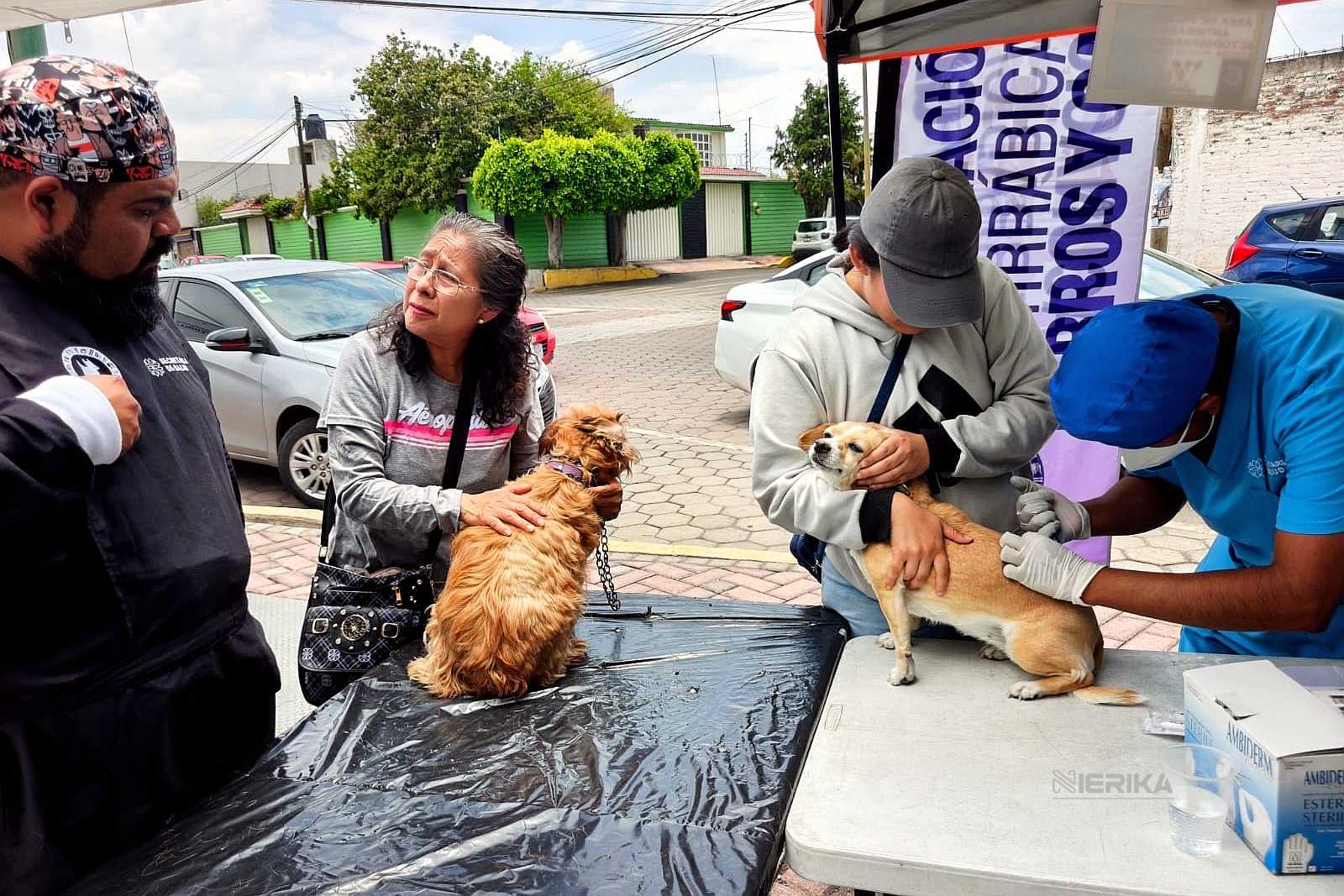 GOBIERNO DE ALFONSO SÁNCHEZ GARCÍA FORTALECE EL BIENESTAR ANIMAL CON JORNADA DE ATENCIÓN A MASCOTAS EN LA LOMA XICOHTÉNCATL