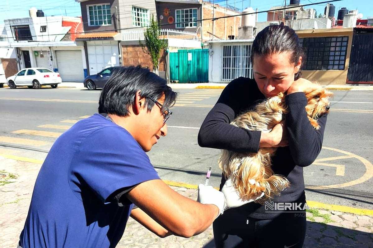 VACUNACIÓN ANTIRRÁBICA EN LA CAPITAL RECORRERÁ COMUNIDADES DURANTE TODO MAYO