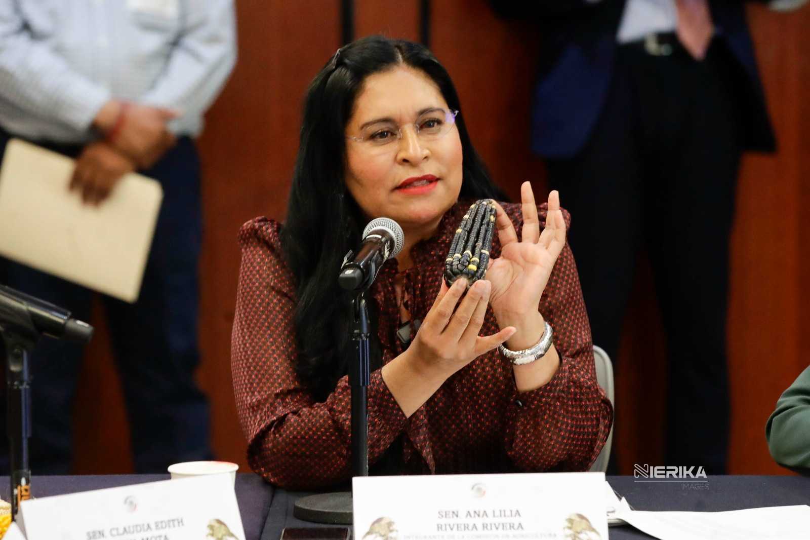 Acuerdo nacional por el maíz fortalece la soberanía alimentaria: Ana Lilia Rivera