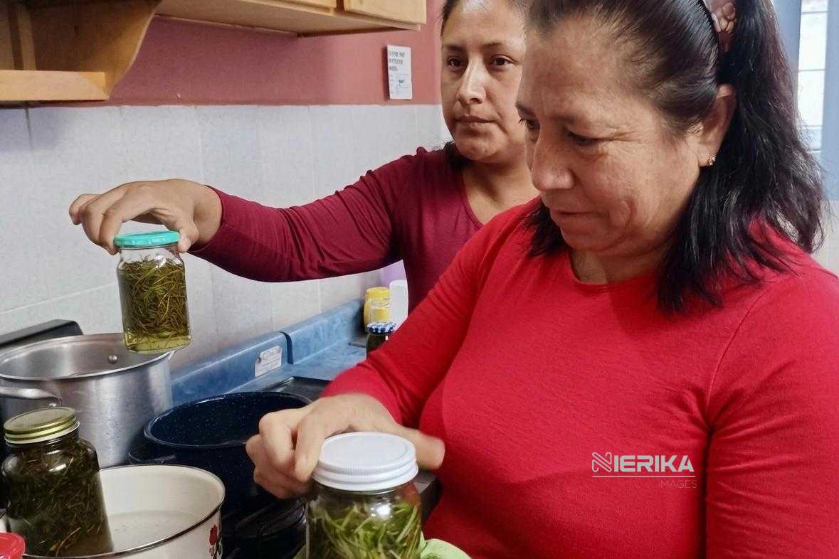 CAPACITA GOBIERNO DE ALFONSO SÁNCHEZ GARCÍA A MUJERES PARA IMPULSAR PROYECTOS PRODUCTIVOS Y AUTOEMPLEO
